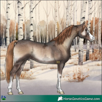 Horse Color:Liver Red Onyx Ice Rabicano 