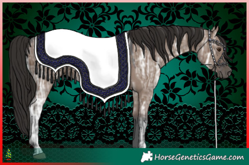 Horse Color:Liver Red Dun Ice 