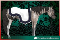 Horse Color:Liver Red Dun Ice 
