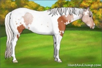 Horse Color:White Spotted Silver Brown Tobiano Rabicano