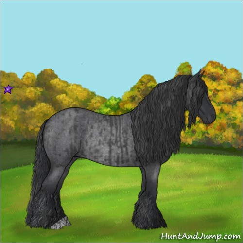 Horse Color:Blue Roan  and Blue Roan Rabicano 