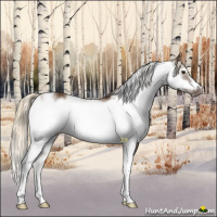 Horse Color:Chocolate Palomino Sabino Frame 