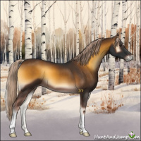 Horse Color:Chocolate Palomino Onyx