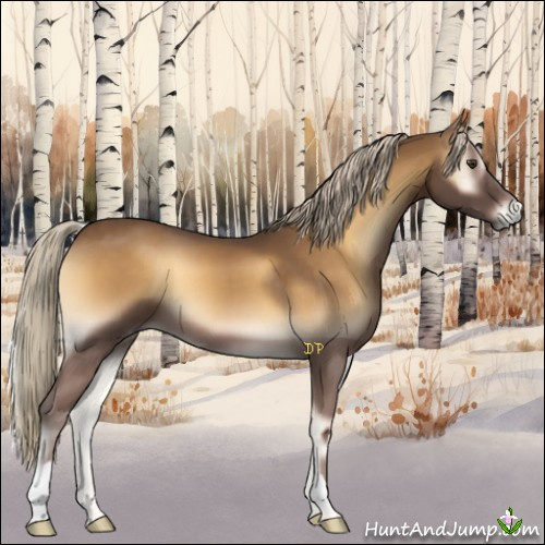 Horse Color:Chocolate Palomino Onyx 