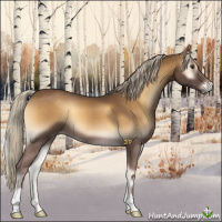 Horse Color:Chocolate Palomino Onyx 