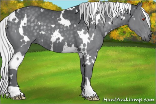 Horse Color:White Spotted Silver Black Chinchilla 