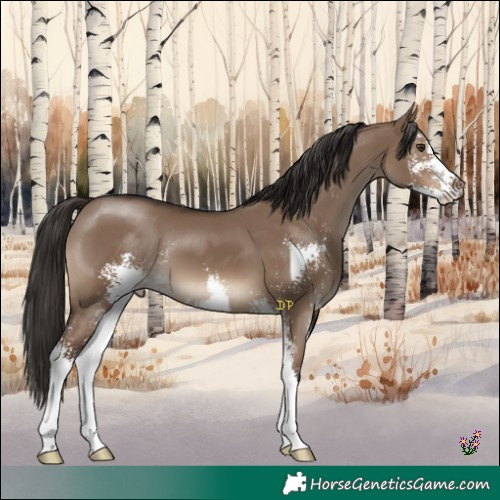 Horse Color:Liver Red Dun Sabino 