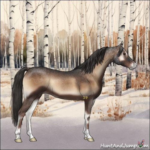 Horse Color:Liver Red Onyx 
