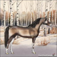 Horse Color:Liver Red Onyx