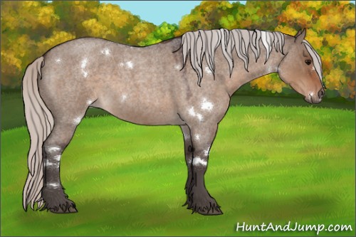 Horse Color:White Spotted Silver Brown Roan Dun 