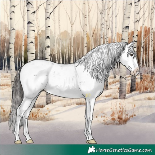 Horse Color:Liver Chestnut Sabino Splash