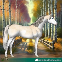 Horse Color:Palomino Roan Onyx Splash
