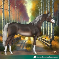 Horse Color:Liver Chestnut Mushroom 