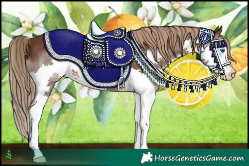 Horse Color:Liver Chestnut Splash