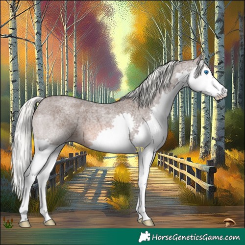 Horse Color:Liver Red Roan Mushroom Splash