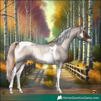 Horse Color:Liver Red Onyx Roan Mushroom Tobiano 