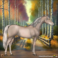 Horse Color:Liver Chestnut Pearl Mushroom Rabicano 