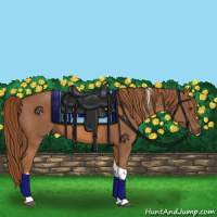 Horse Color:Chestnut Tobiano 