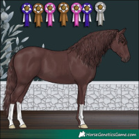 Horse Color:Chocolate Black