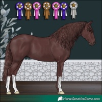 Horse Color:Chocolate Black