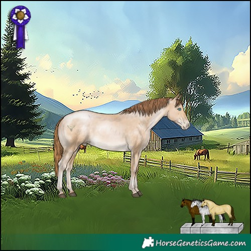 Horse Color:White Spotted Buckskin Pearl 