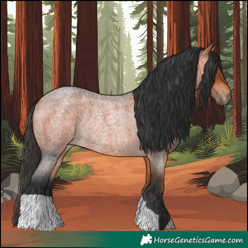 Horse Color:Bay Roan Rabicano 