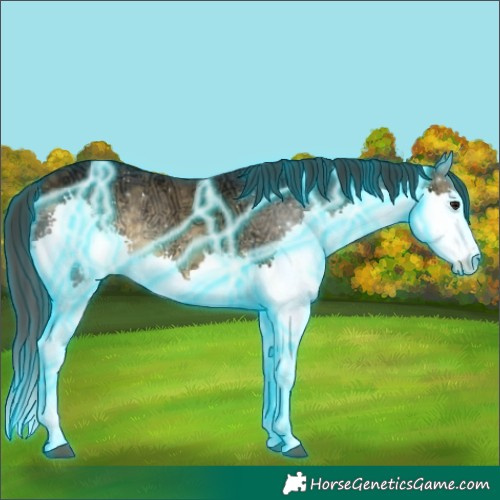 Horse Color:Thunderstruck Buckskin Ice Splash 