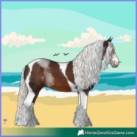 Horse Color:Liver Chestnut Mushroom Tobiano 