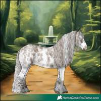 Horse Color:Silver Grullo Sabino Splash 