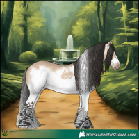 Horse Color:White Spotted Bay Dun Splash Frame Rabicano