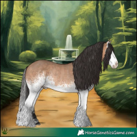 Horse Color:White Spotted Bay Dun Splash Rabicano 
