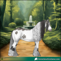 Horse Color:Grullo Sabino Splash Frame 
