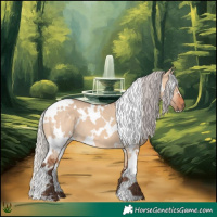 Horse Color:White Spotted Silver Bay Dun 