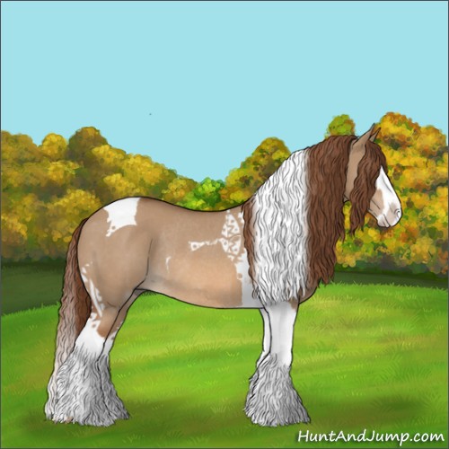 Horse Color:Red Dun Splash Tobiano Rabicano 
