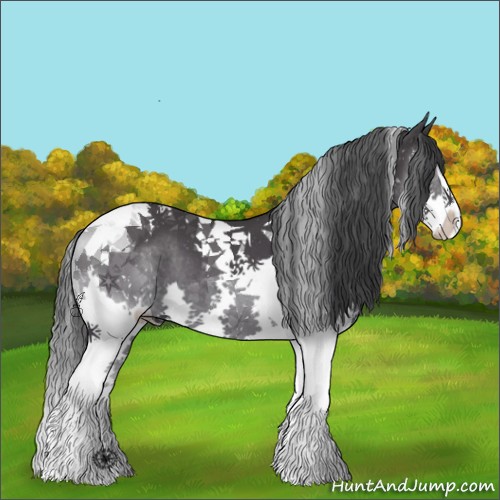 Horse Color:Black Sabino Splash Tobiano 
