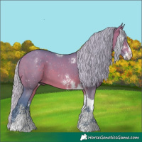 Horse Color:Watercolor Silver Brown Dun Sabino Tobiano 
