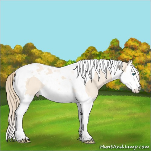 Horse Color:Perlino Splash Tobiano 