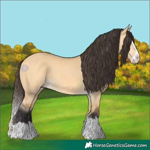 Horse Color:Buckskin Dun Splash