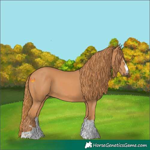 Horse Color:Chestnut 