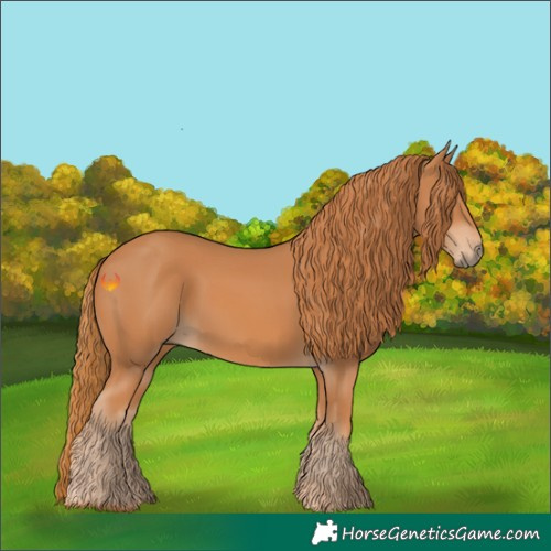 Horse Color:Chestnut 