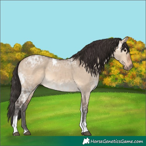 Horse Color:Bay Ice Dun Tobiano 