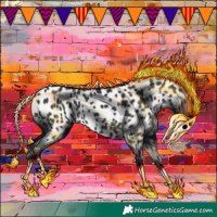 Horse Color:Black Appaloosa
