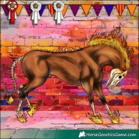 Horse Color:Bay 