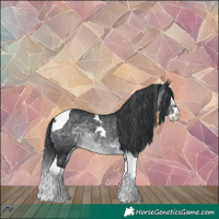 Horse Color:Brown Chinchilla Splash Tobiano 