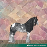 Horse Color:Brown Chinchilla Splash Tobiano 