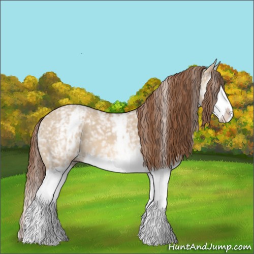 Horse Color:White Spotted Red Dun Splash 
