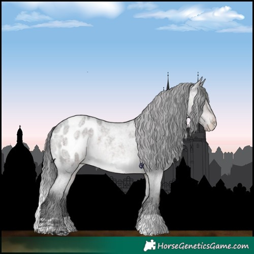 Horse Color:Platinum Brown Roan Dun Blanket 
