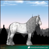 Horse Color:Platinum Brown Roan Dun Appaloosa 