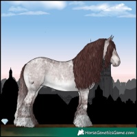 Horse Color:Platinum Chocolate Brown Ice Roan Dun
