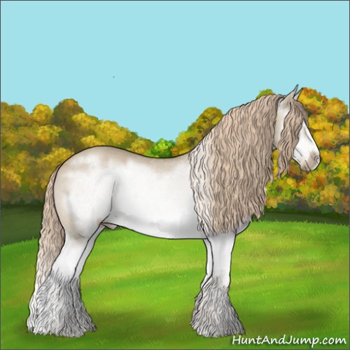 Horse Color:Red Dun Splash Frame Rabicano 